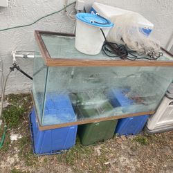 75 Gallon Tank