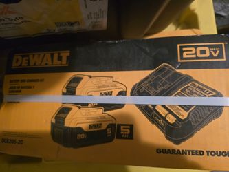 Dewalt 20 v 2 pack  5ah