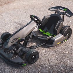 Ninebot Pro Go Kart 