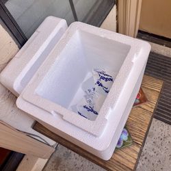 FREE 2 small styrofoam coolers - pick up only