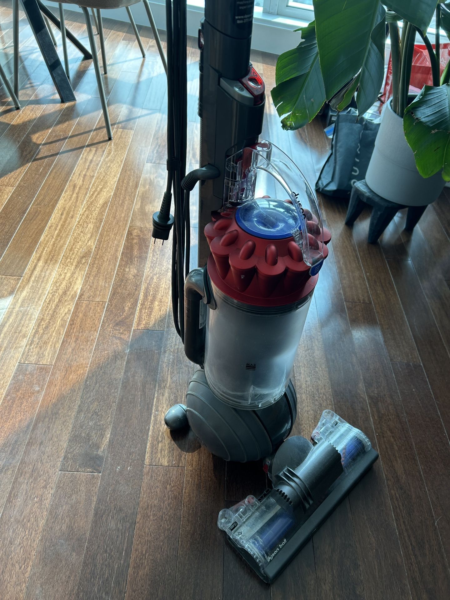 Dyson Ball Vacuum