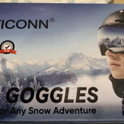 Ski Goggles
