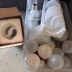 Lot of light bulbs 💡 mixed sizes all new