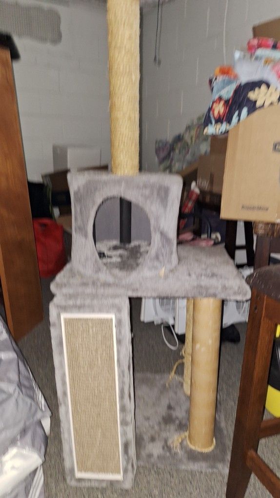 Cat Condo