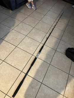 Steadfast 10ft Medium Light Fishing Rod