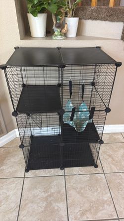 Kitten cage