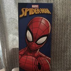 Spiderman Poster 