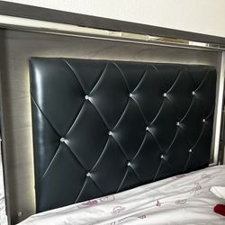 Titanium Queen Size Bed 