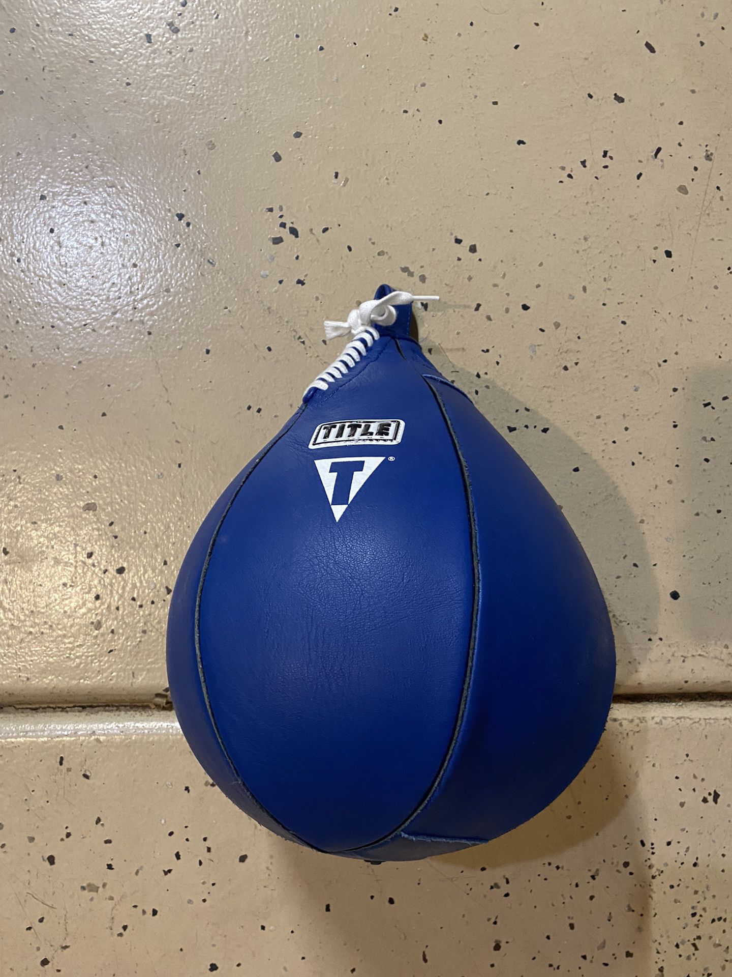 Title Leather Speed Bag XL 10”x12”