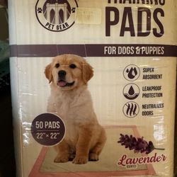 Dogs Pads 