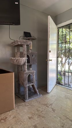 Una torre de gatos