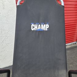 Body Champ Inversion Table Delivery Available
