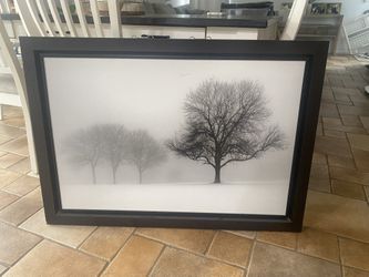 Black And White Portrait Frame Poster