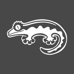 Axanthic Lilly crested gecko “toy”