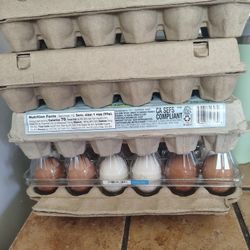 Fresh Eggs 