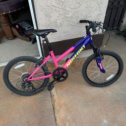 Nishiki Girls 20” Mountain Bike