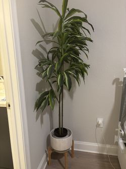 Faux Plant Tree With Planter Stand