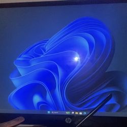 Hp Monitor 25in