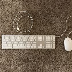 Apple White All USB Wired Keyboard A1243 and Apple (Wired) Mouse A1152