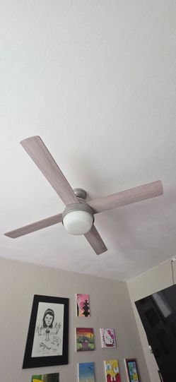 Ceiling Fan