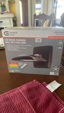 Color changing wall or flood light