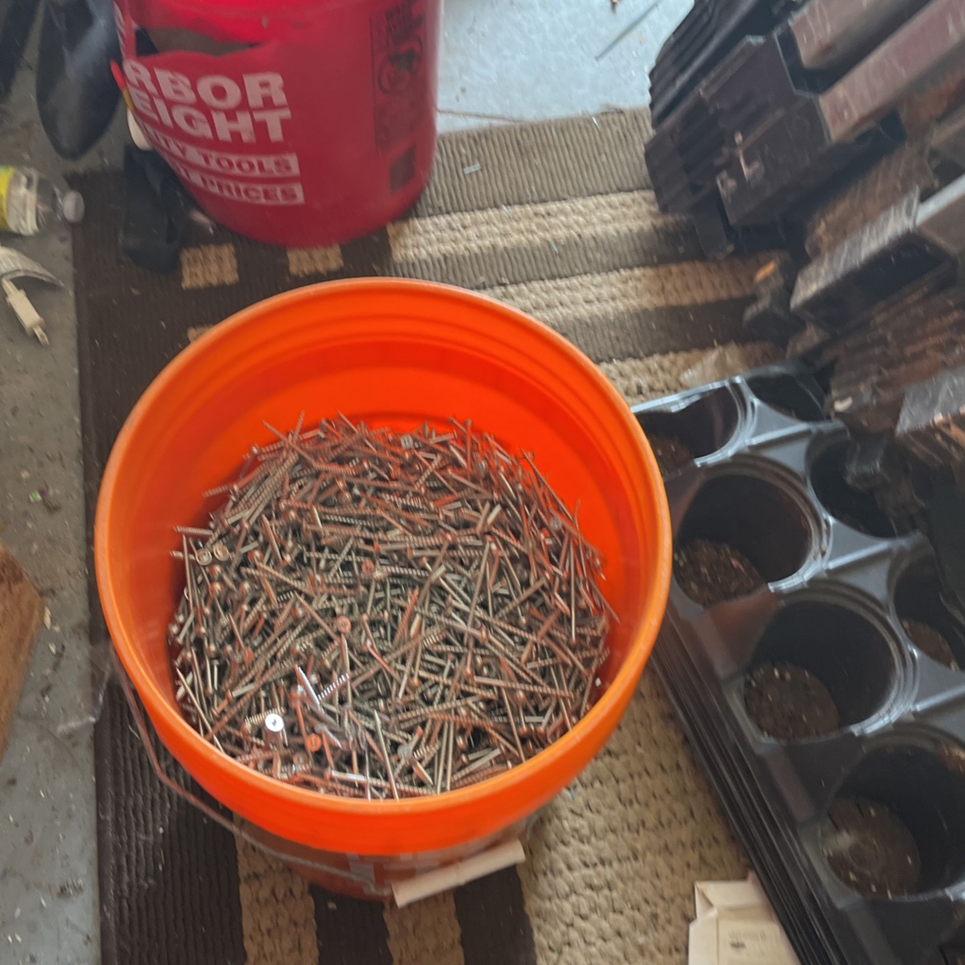 2 And A Half Inch Stainless Steel Screws