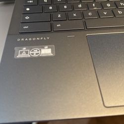Chromebook DragonFly 