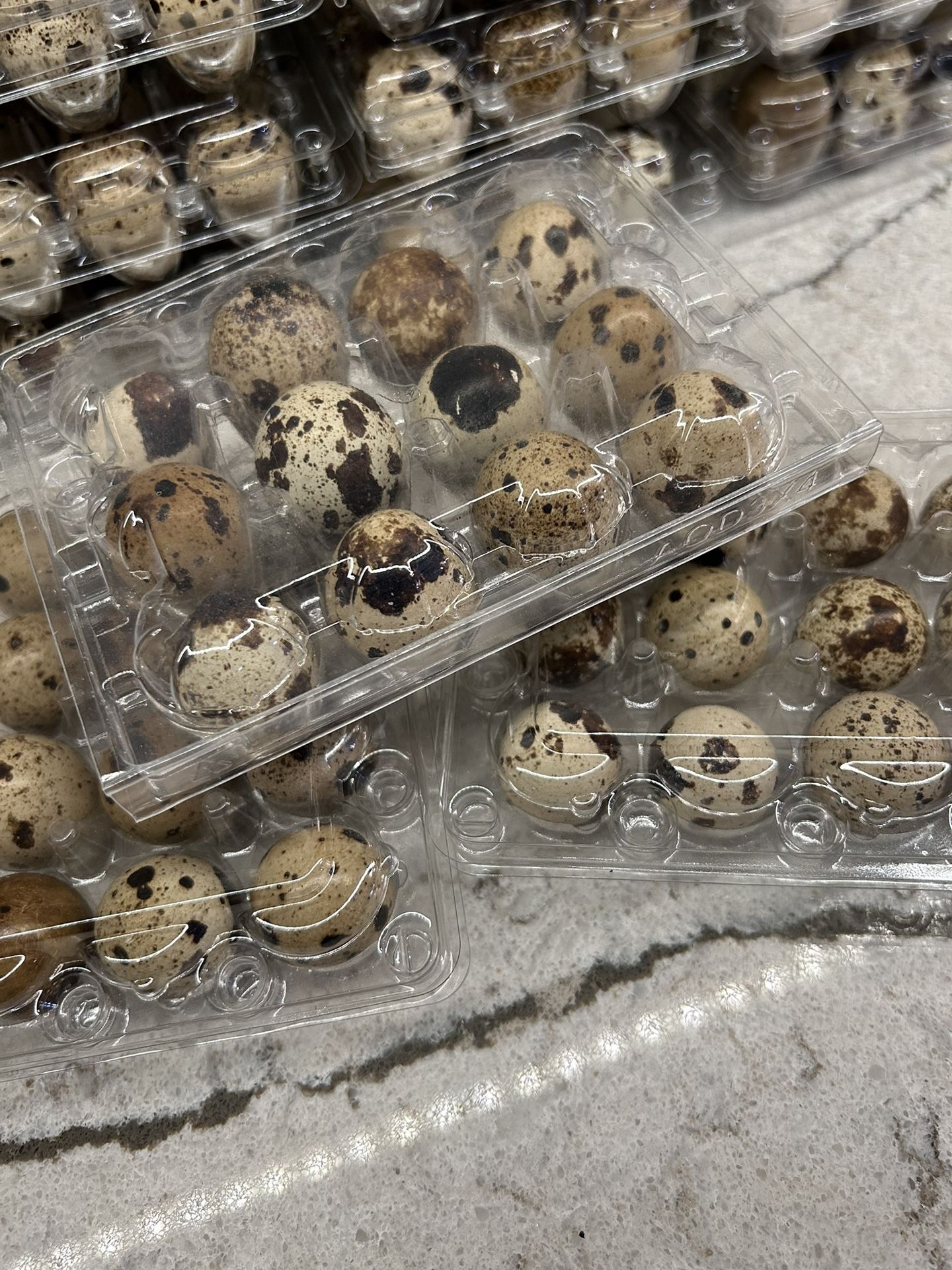 Quail Eggs