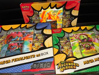 POKEMON ASCENDED HERO EX BOX