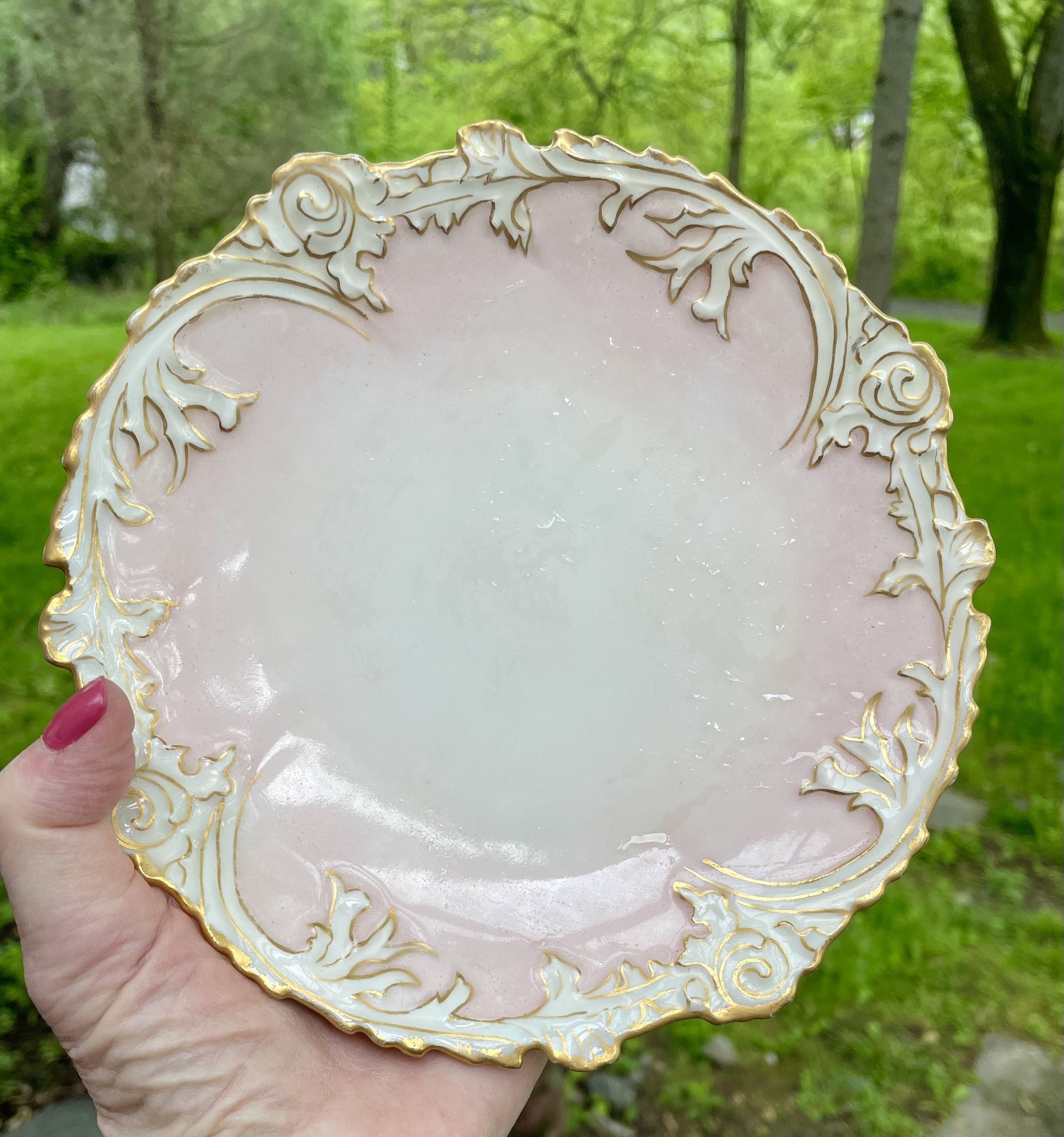 Limoges Porcelain Plate from Leon Sazerat, France, 1860