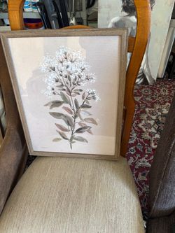 Flower pictures with frames