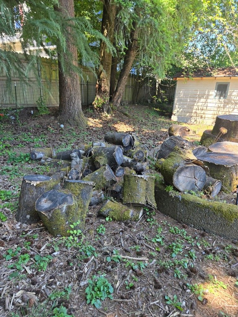 Free Firewood