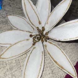 Free Free Free • 1 only