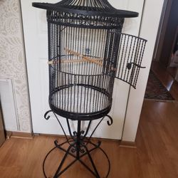 Black Wrought Iron Birdcage