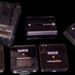 Sony Rechargable Batteries With Charger 