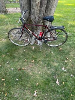 28” trek hybrid bike (xl frame)