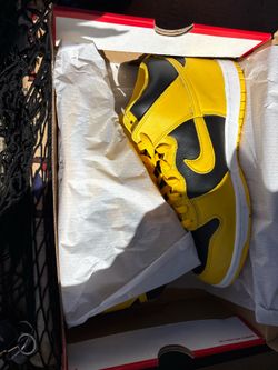 New Nike dunk high top