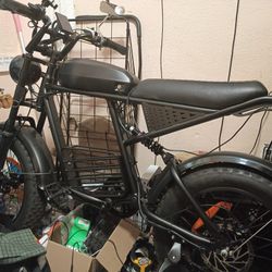 iFAYFAN FX-20 Electric Bike
