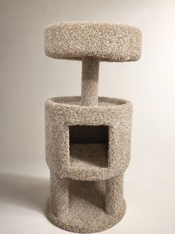 Cat condo/scratching post