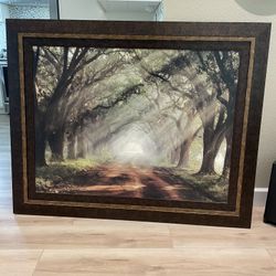 Kirkland Evergreen picture.