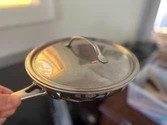 Gourmet Standard Frying Pan with lid - stainless steel