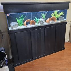 60 Gallon Long Fish Tank Aquarium 