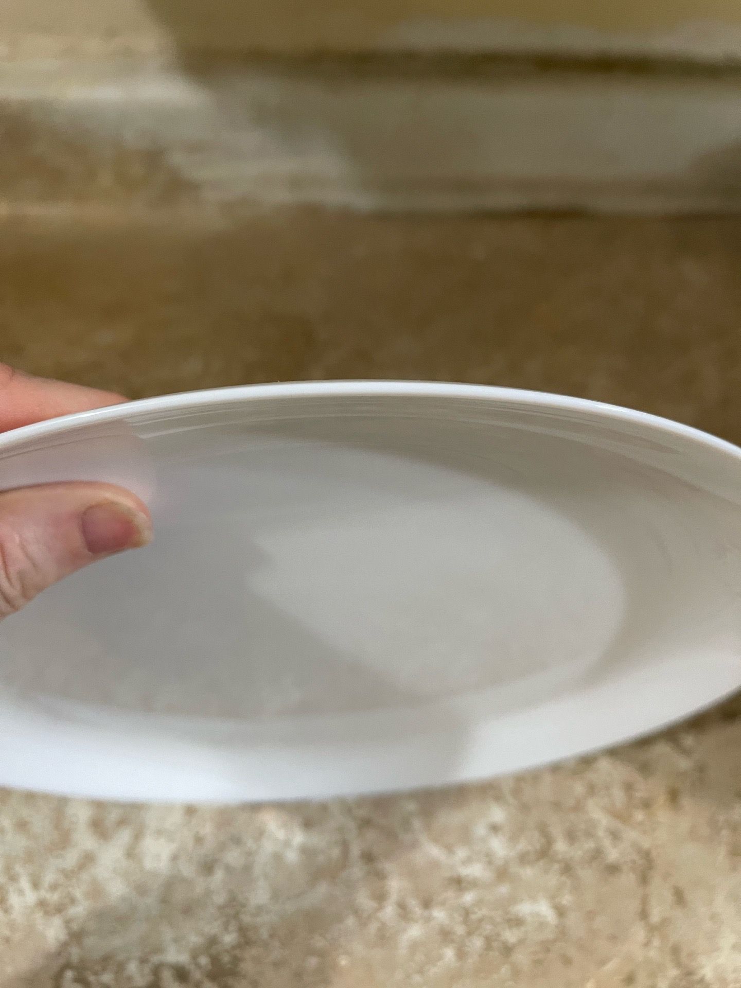 16 dinner plates light weight excellent condition pick up Raseda and vanowen each plate 2 dollar