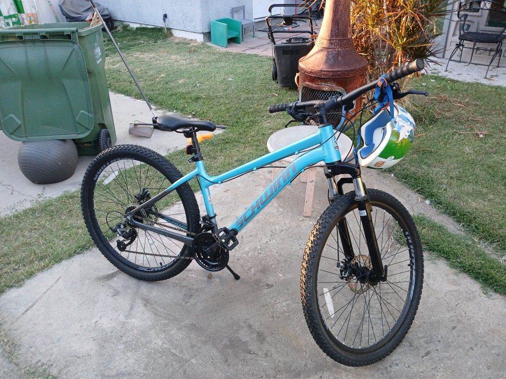 The Schwinn Mountain Bike