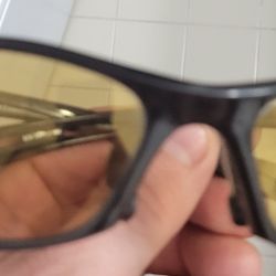 Race  Photochromic Zebra Sunglasses

