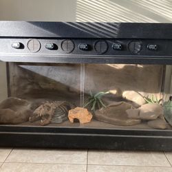 Custom Built Reptile Enclosure with Accessories
