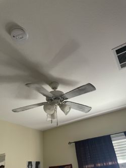 Ceiling fans. 5 of them.