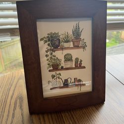 Potted Plants Picture