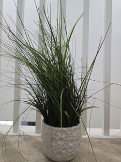 fake plant