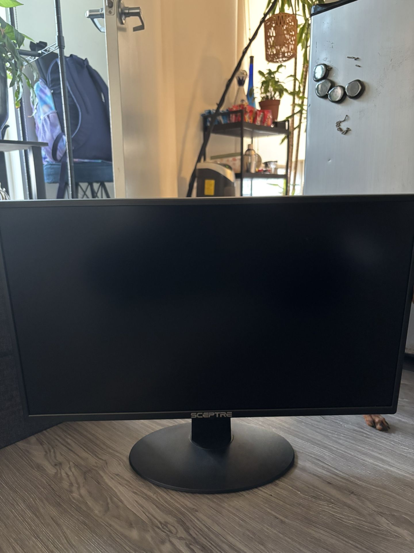 Sceptre monitor
